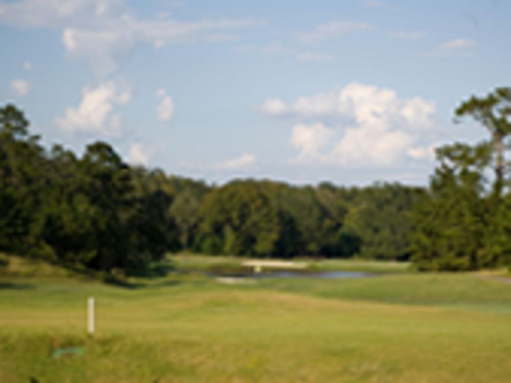 Course photo for The Bluffs Country Club