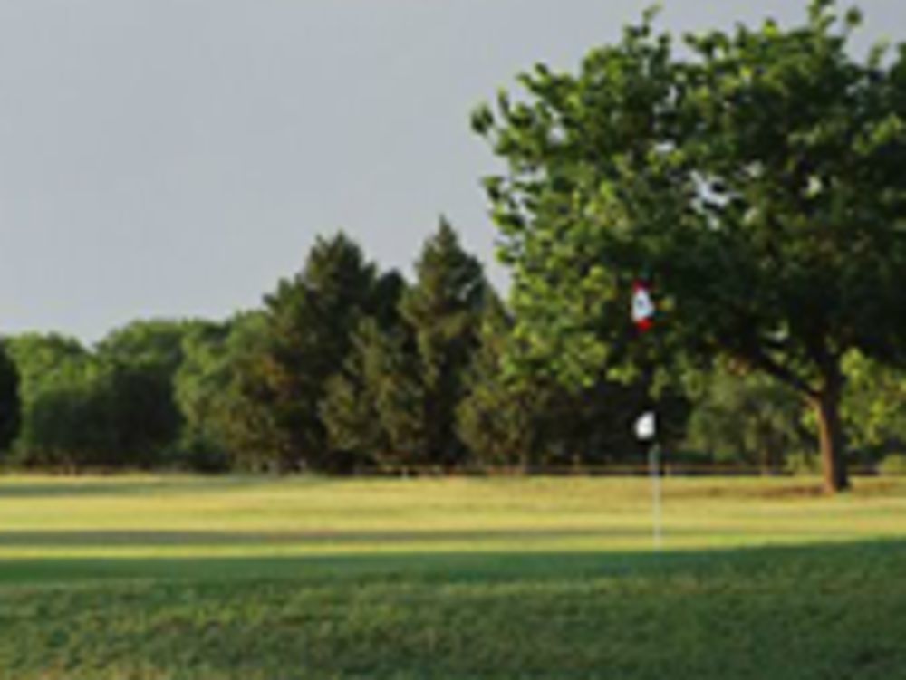 Course photo for Reese Golf Center