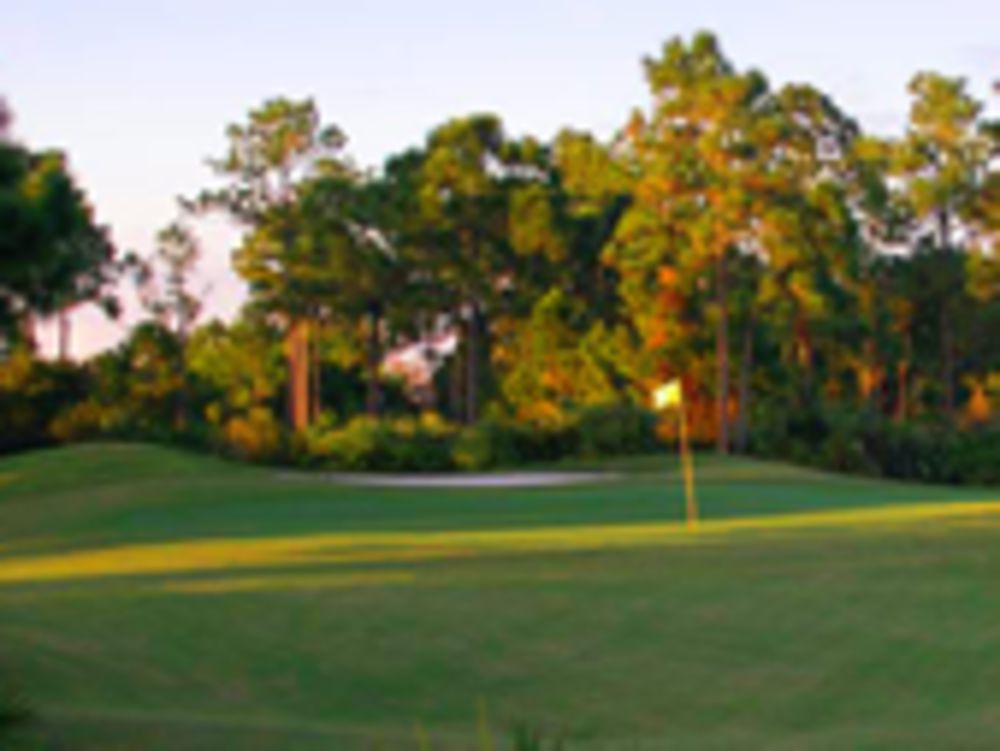 Course photo for Hammock Creek Golf Club