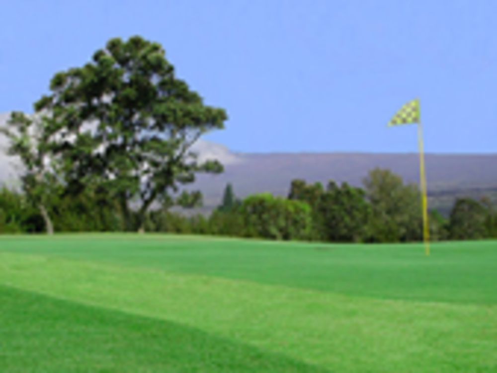 Course photo for Volcano Golf and Country Club