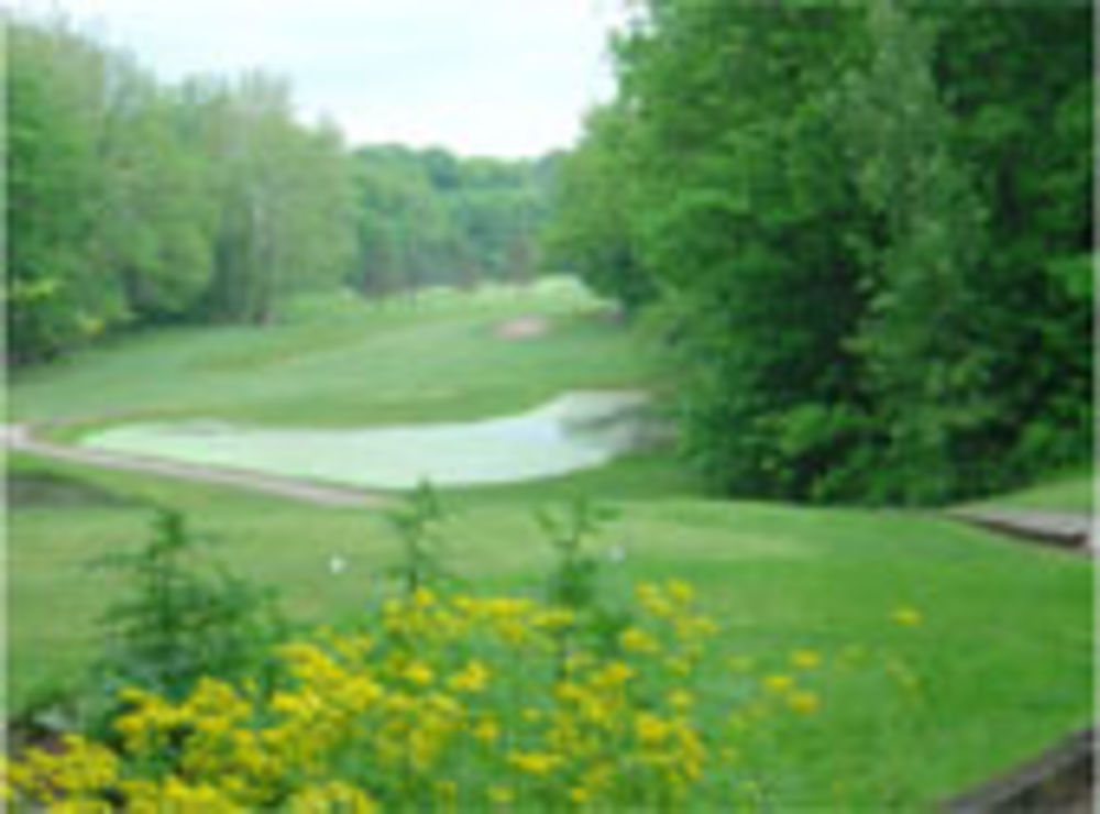 Course photo for Raccoon International Golf Club