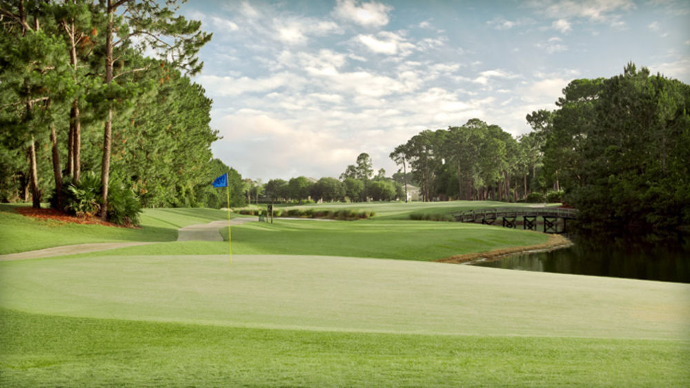 Course photo for Windsor Parke Golf Club