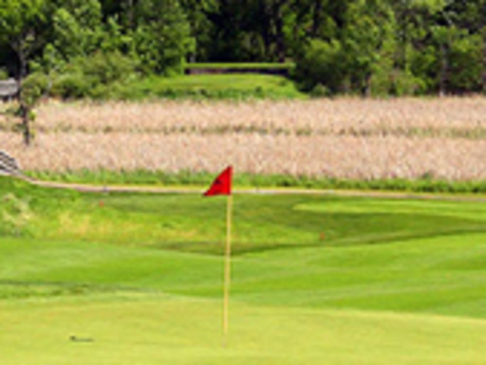 Course photo for Wild Marsh Golf Club