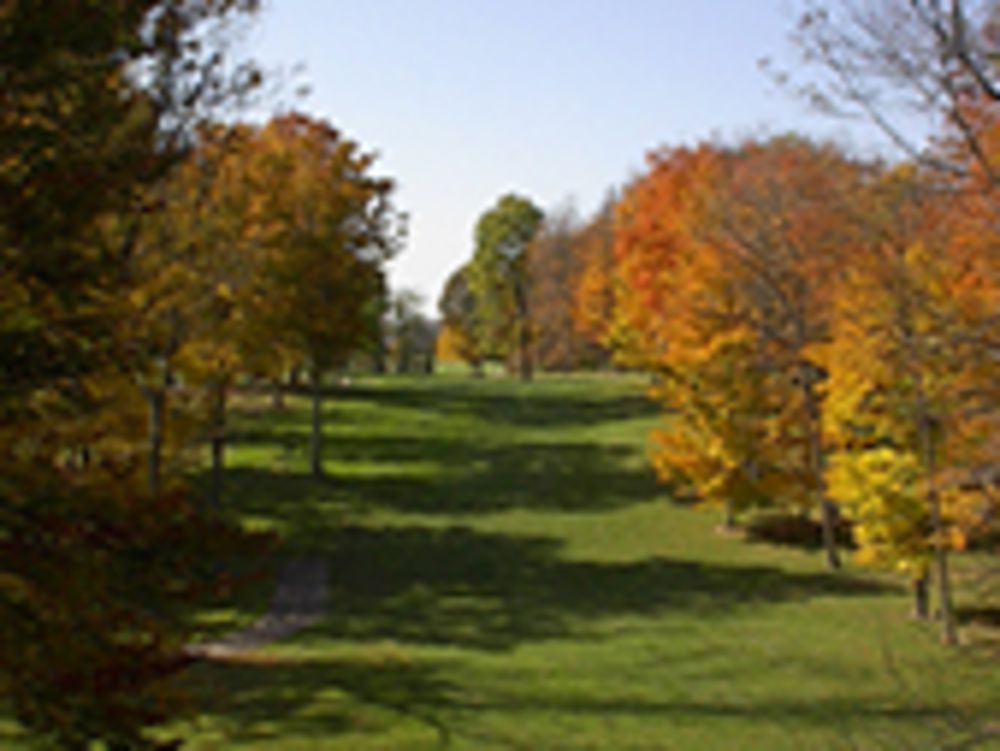Course photo for Turtle Creek Golf Course