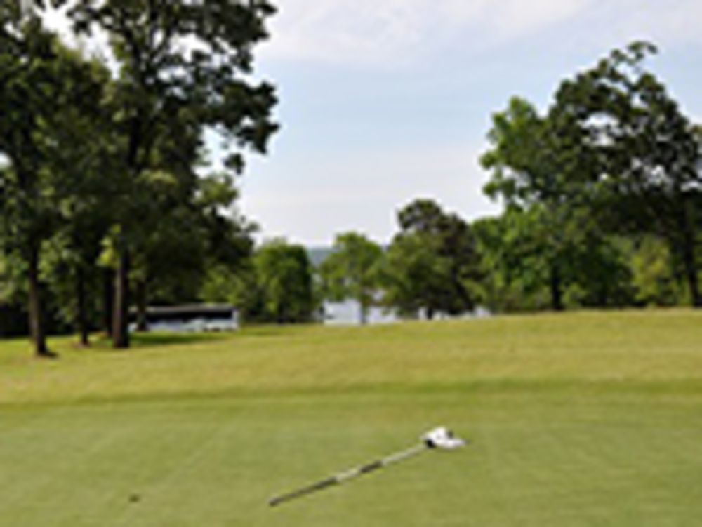 Course photo for De Gray State Park Golf Course