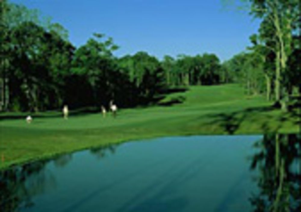 Course photo for Eagle Pointe Golf Club - Seniors