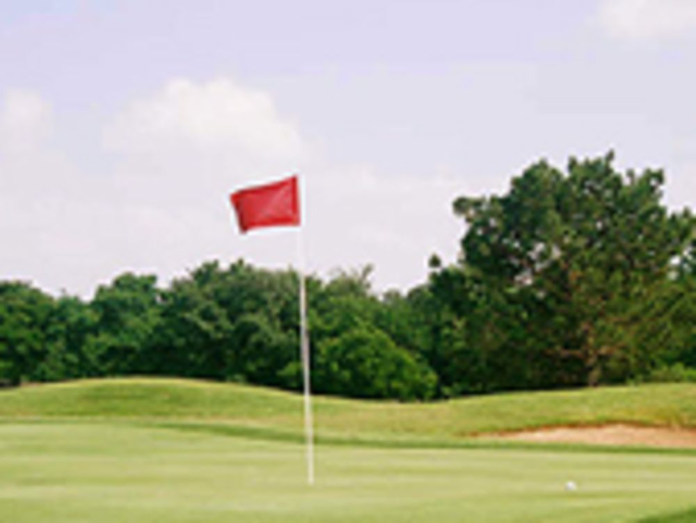 Course photo for South Lakes Golf Course