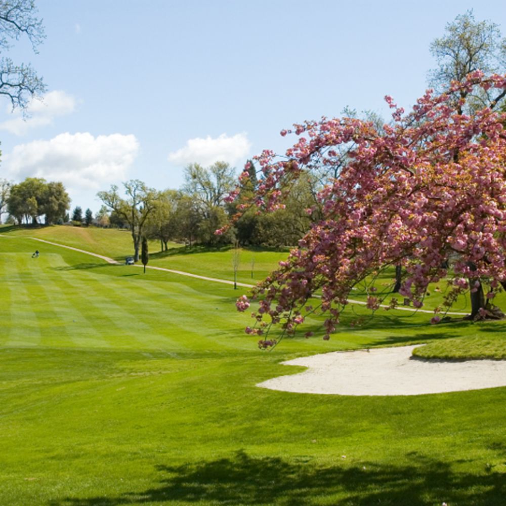Course photo for Holly Hills Country Club