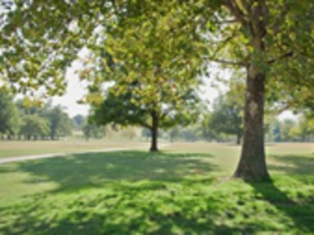 Course photo for Buffalo Rock Golf & Venue