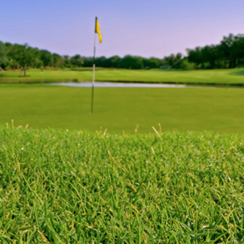 Course photo for Heatherwood Golf & Country Club