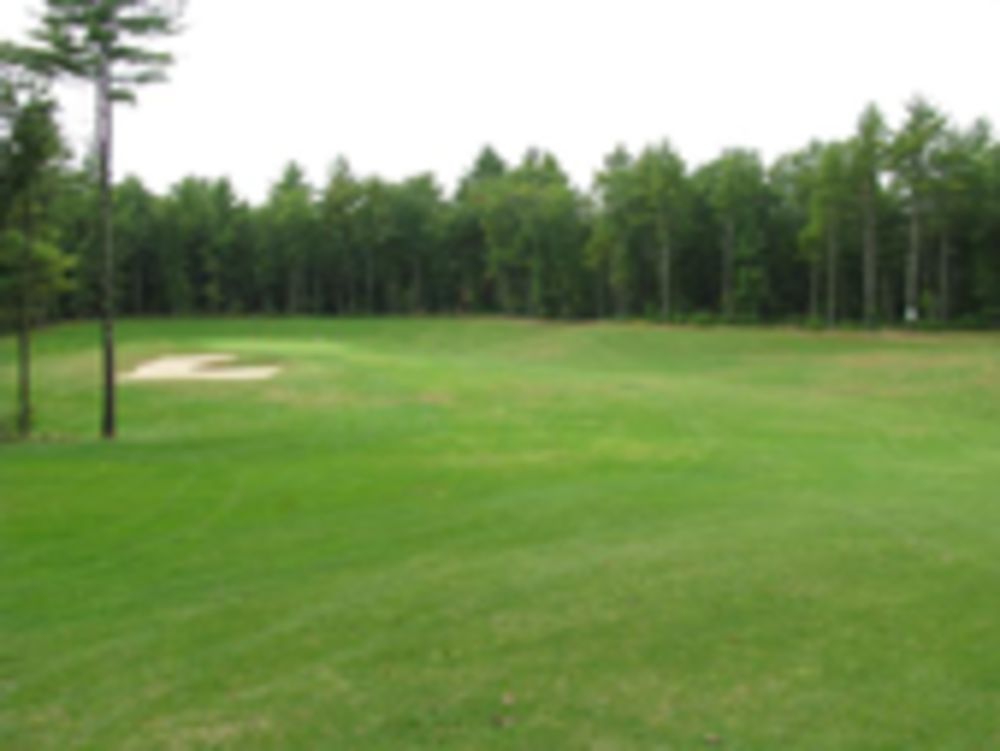 Course photo for Mill Valley Golf Links