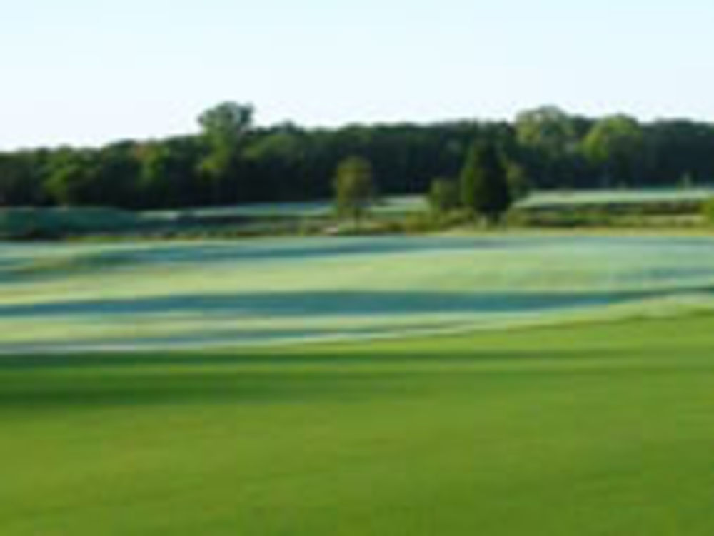 Course photo for Diamond Woods Golf Course