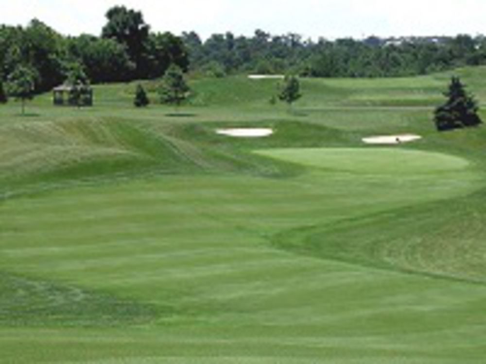 Course photo for Royal St Patrick's Golf Links