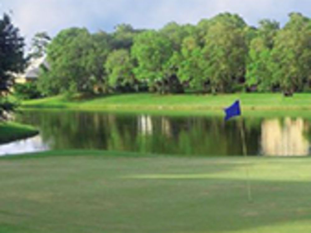 Course photo for Wood Hollow Golf Club