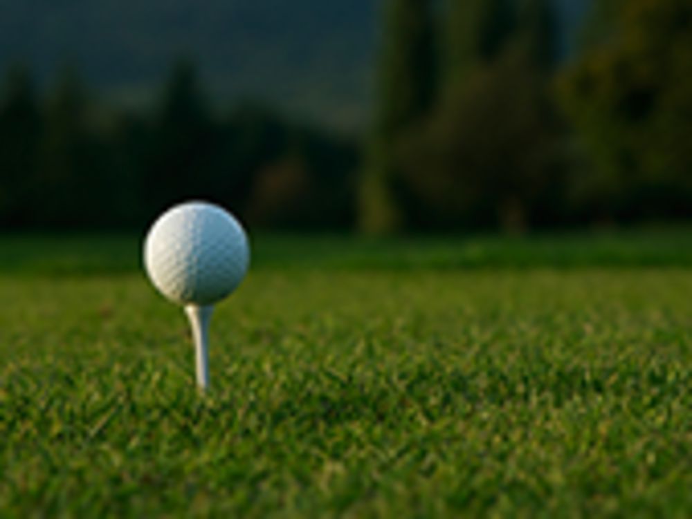 Course photo for White Pines Golf Course