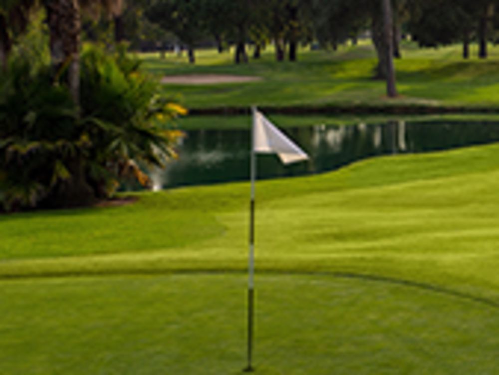Course photo for Copperhead Golf and Country Club