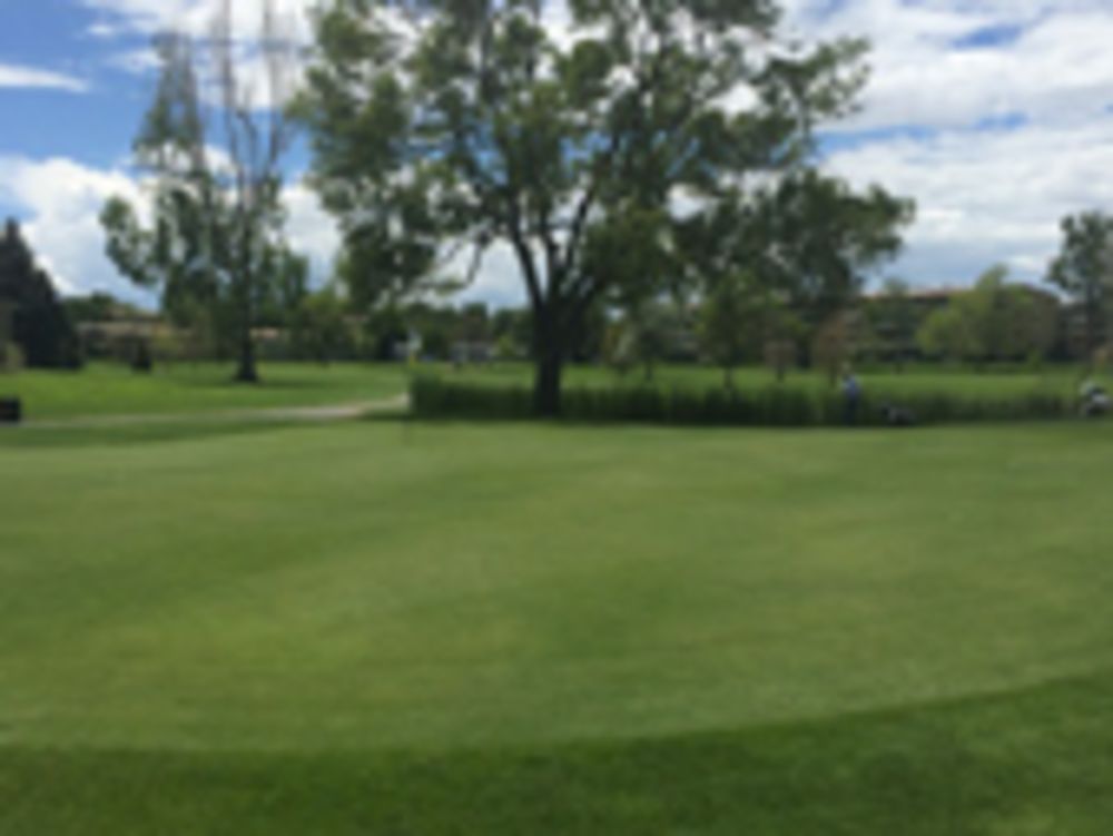 Course photo for Deer Park Golf Club