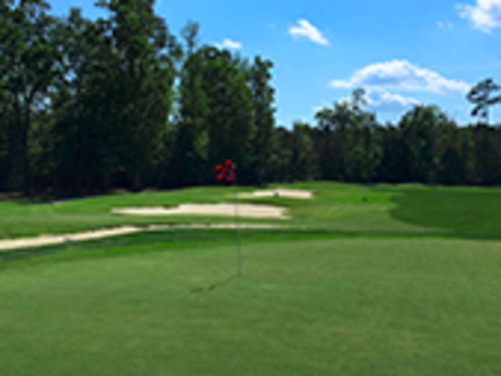 Course photo for Tawas Creek
