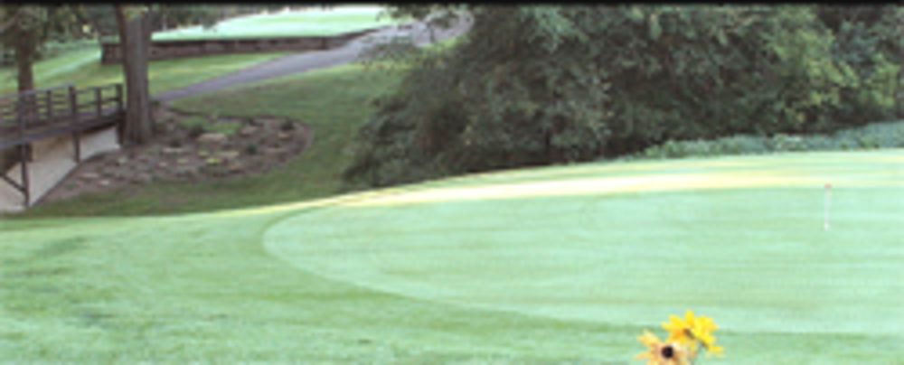 Course photo for Hidden Greens Golf Course
