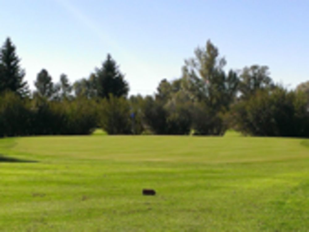Course photo for Airport Golf Club