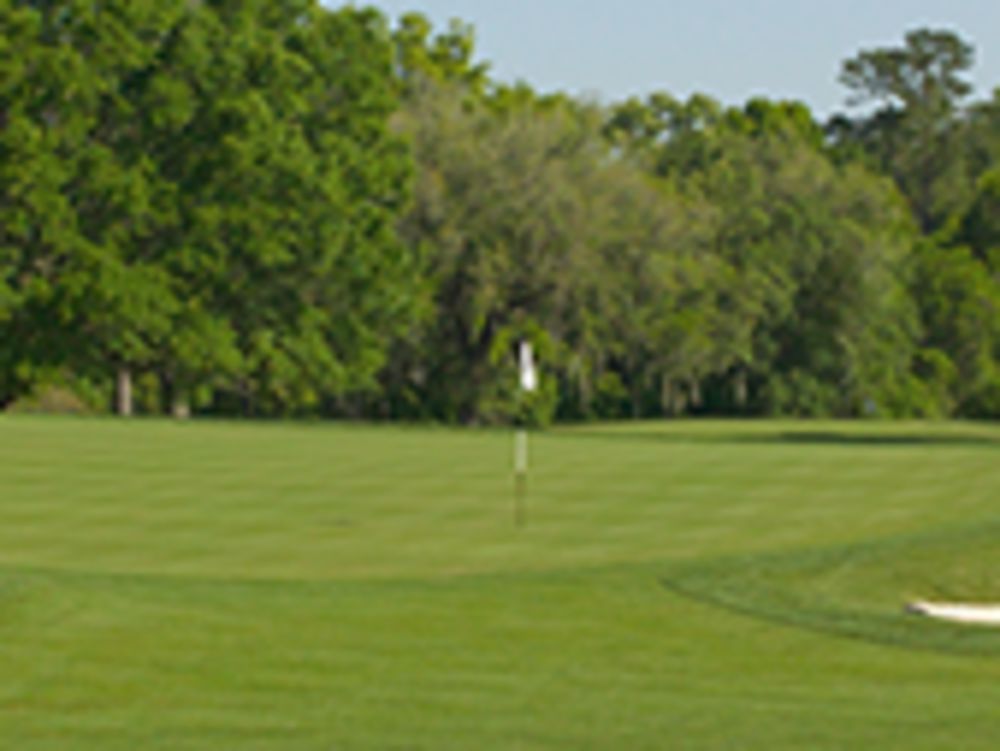 Course photo for Ocala National Golf Club