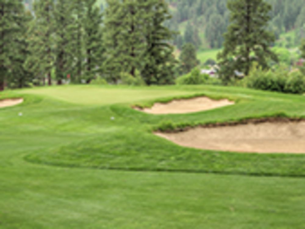 Course photo for Canyon River Golf Club