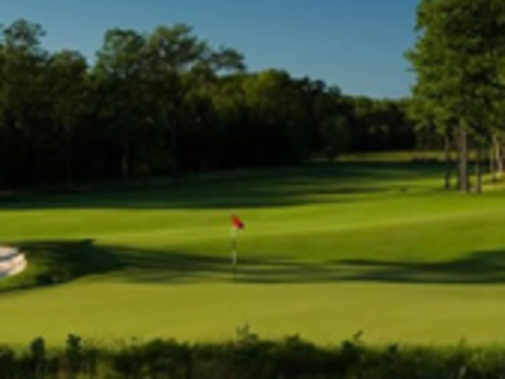 Course photo for Forest Dunes Golf Club