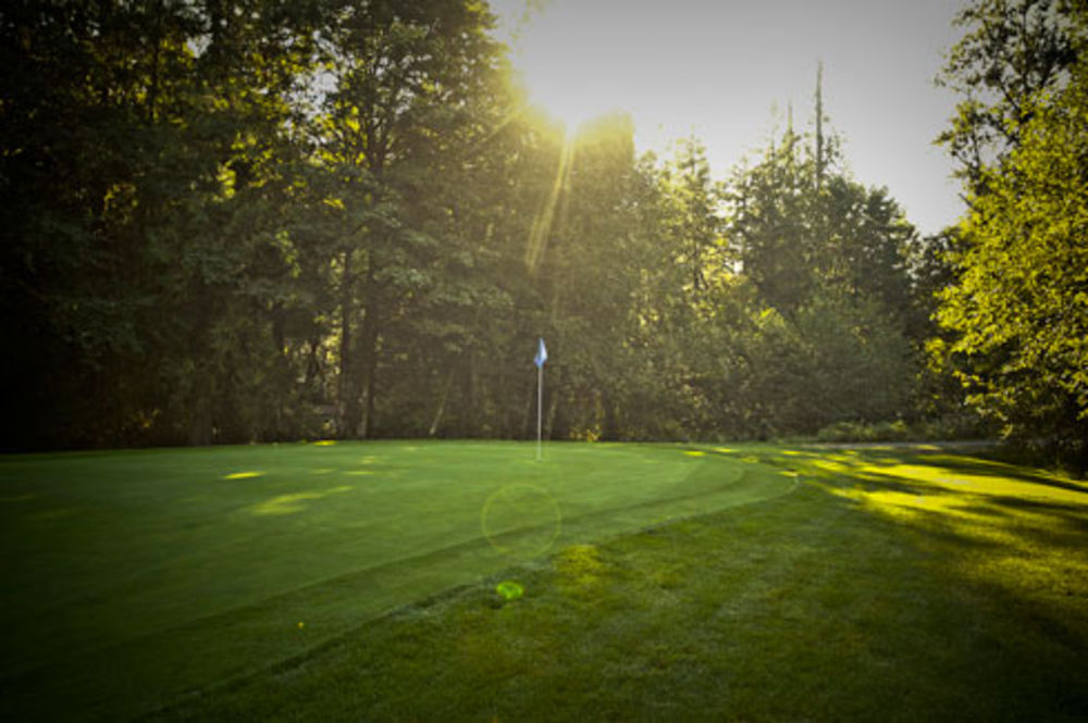 Course photo for Resort at the Mountain - Foxglove