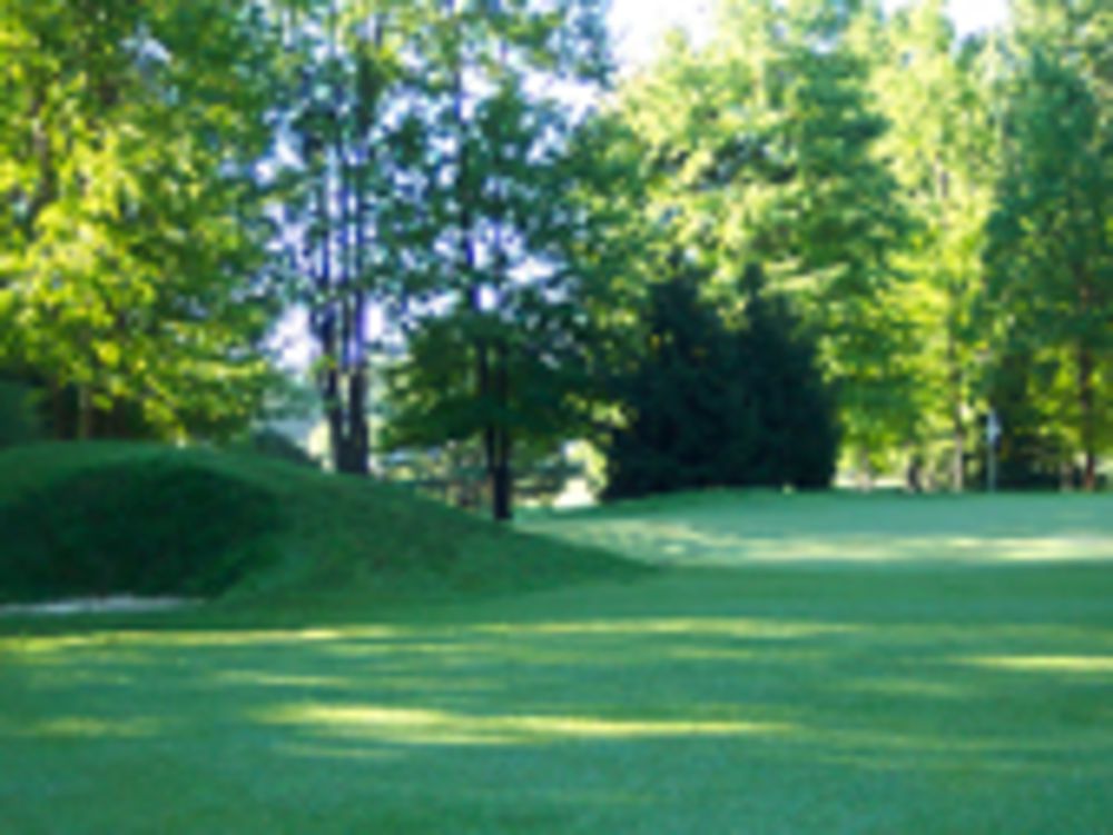 Course photo for Walnut Run Golf Course