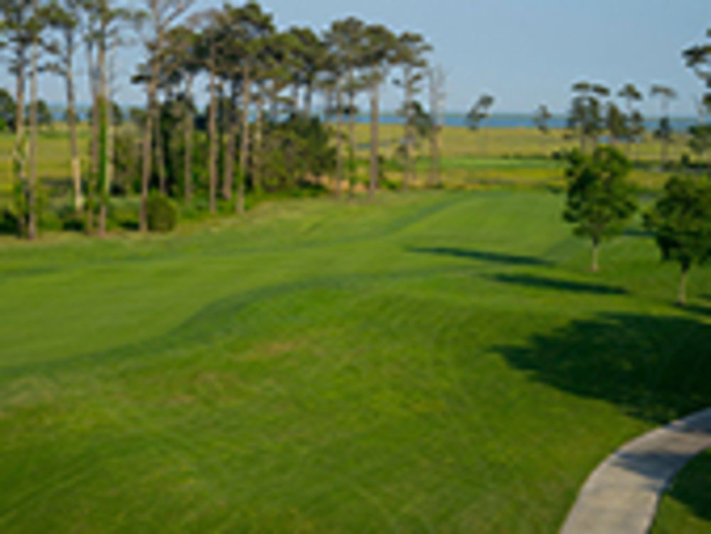 Course photo for Eagle's Landing Golf Course