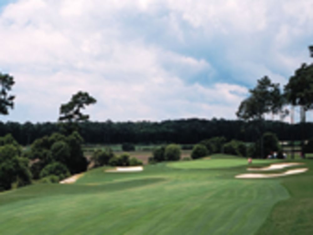 Course photo for The Pearl | West