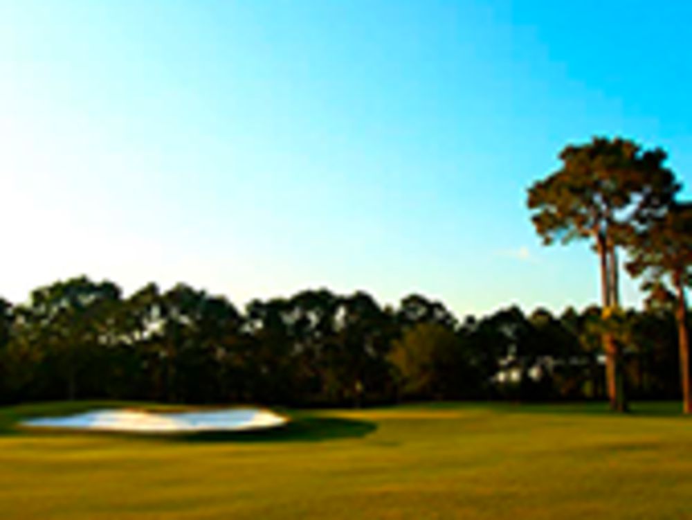 Course photo for Holiday Golf Club - Par 3 Course