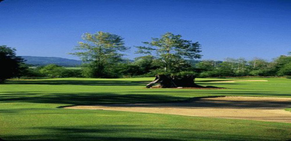 Course photo for Avalon Golf Club - North Course