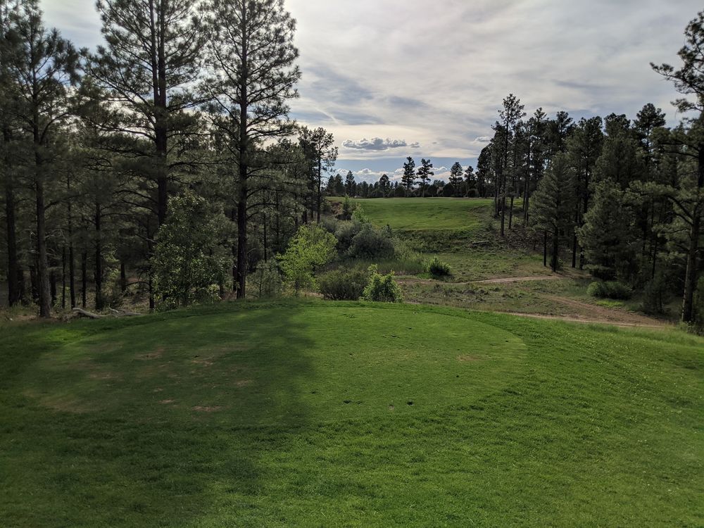Course photo for Bison Golf Club