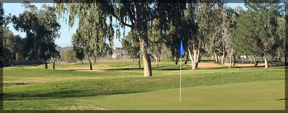 Course photo for Paradise Valley Golf Course