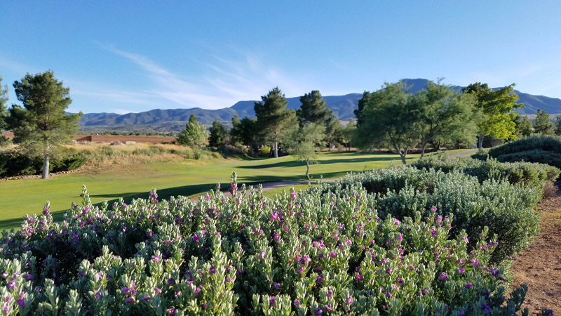 Course photo for Coyote Trails Golf Course