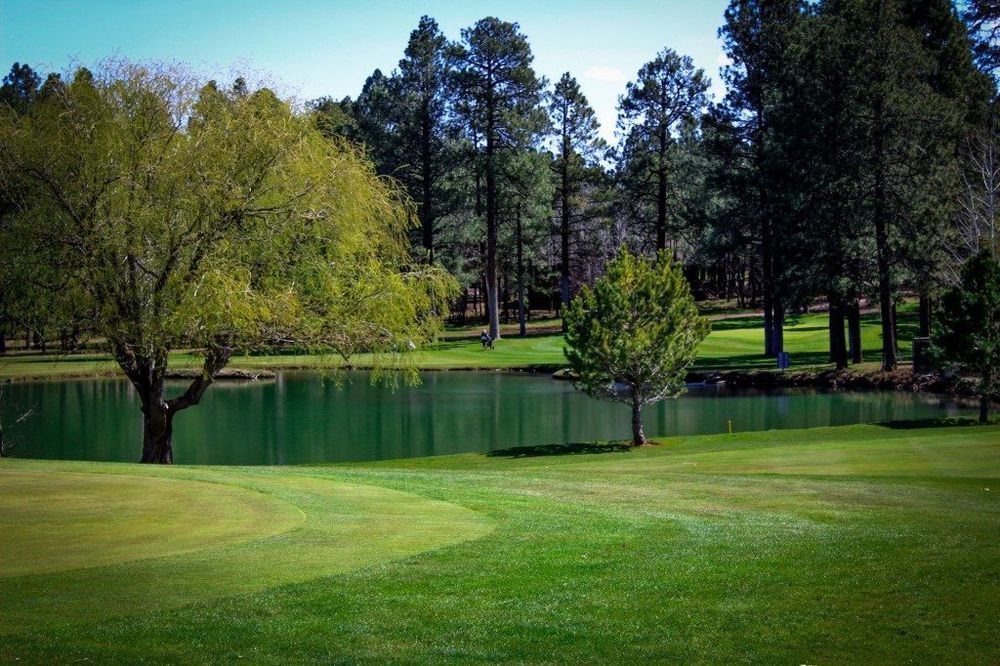 Course photo for Pinetop Lakes Golf & Country Club