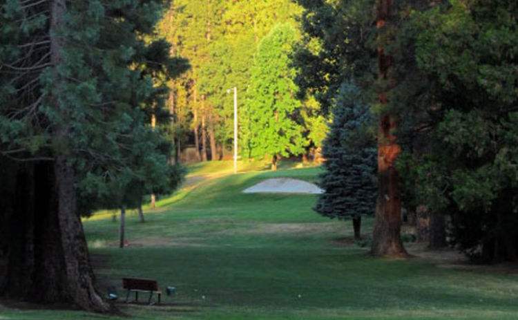 Course photo for Twain Harte Golf Club