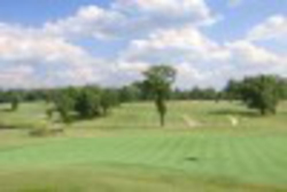 Course photo for Glenwood Country Club