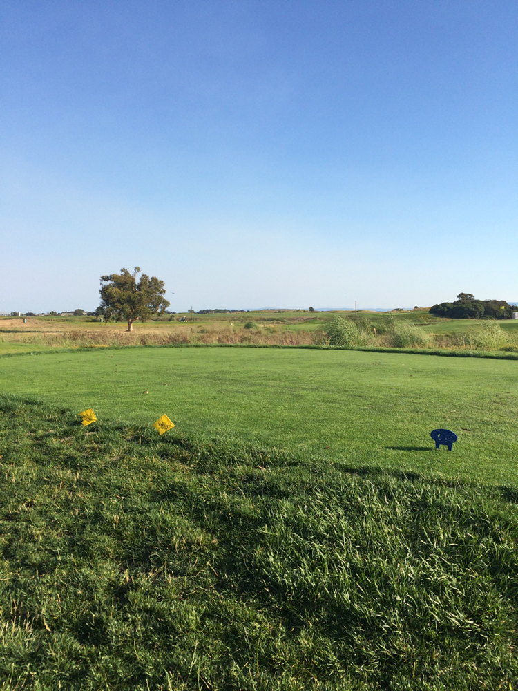 Course photo for Metropolitan Golf Links