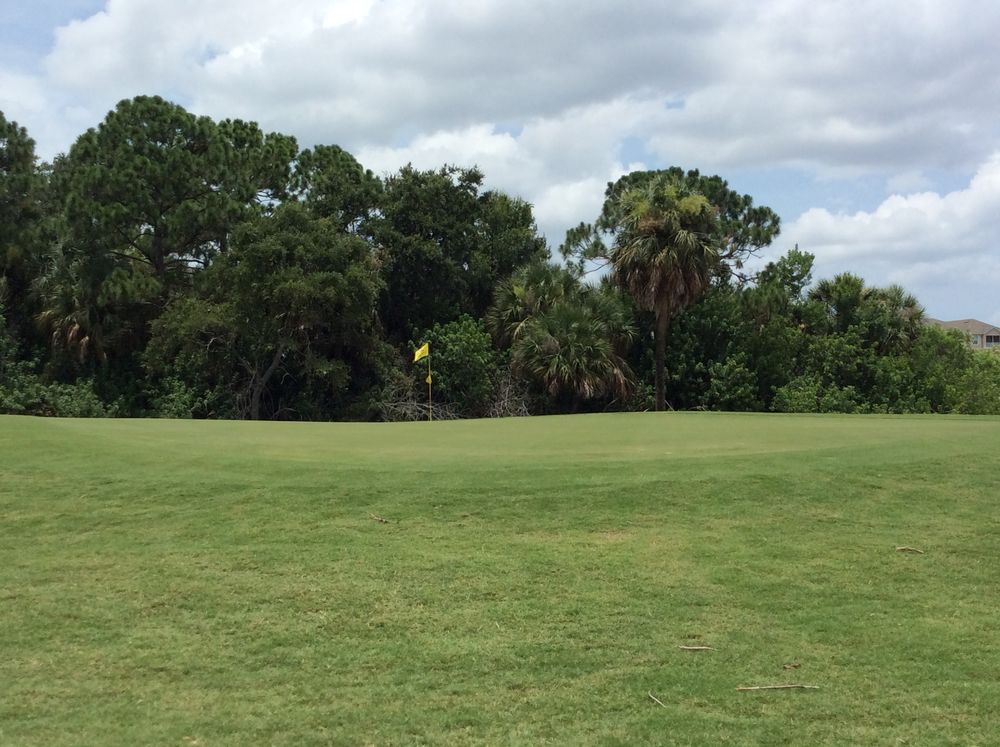 Course photo for Turtle Creek Golf Club