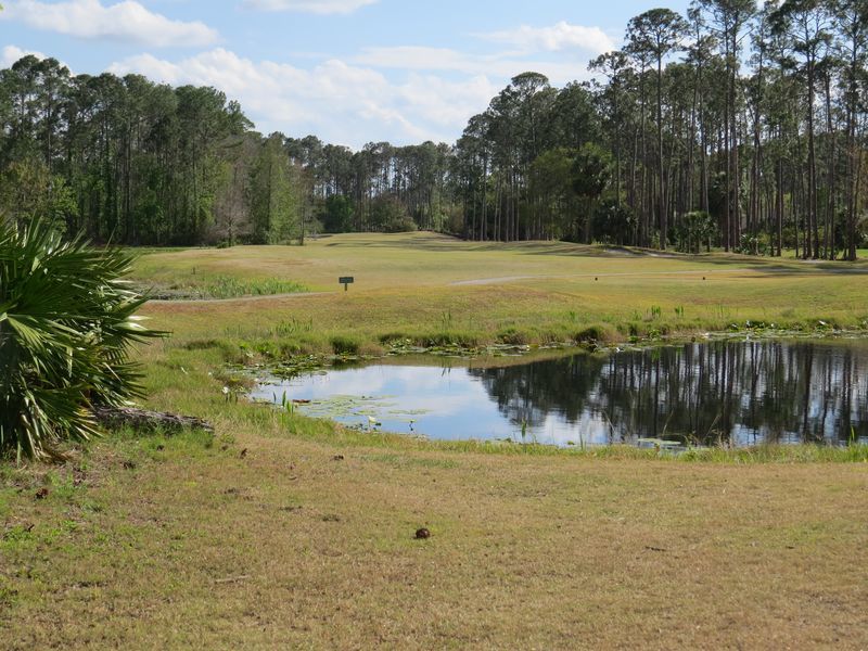 Course photo for The Grand Club - Cypress Knoll Golf Course