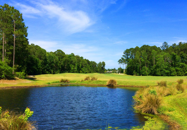 Course photo for The Hamptons