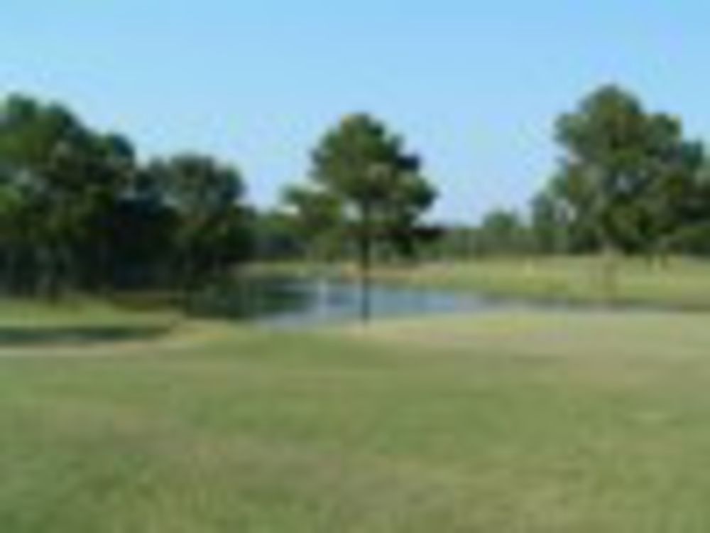 Course photo for Turtle Pointe Golf Club