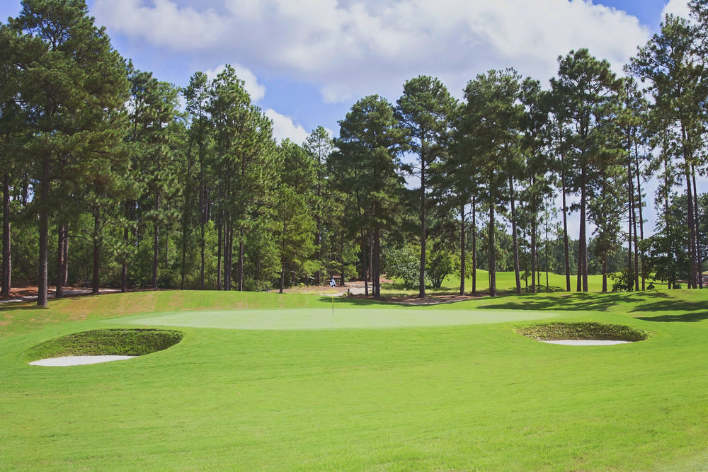Course photo for Talamore Golf Club