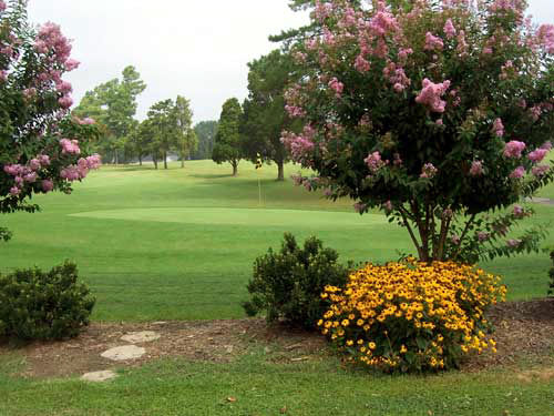 Course photo for Mc Canless Golf Course