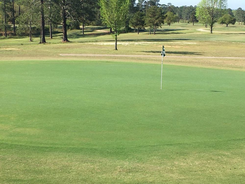 Course photo for Bowden Golf Course