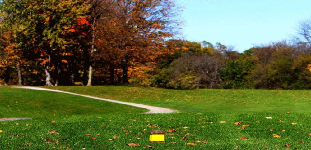 Course photo for Blue Bear Golf Club