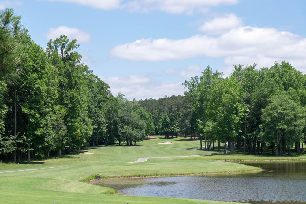Course photo for River Pines Golf Club