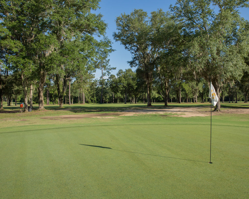 Course photo for Quitman Country Club